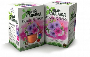 Набор для экспериментов Юный садовод - Вырасти петунью (Висма, 409пл)